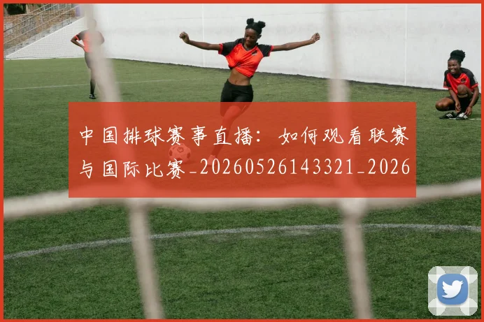中国排球赛事直播：如何观看联赛与国际比赛_20260526143321_20260608142342