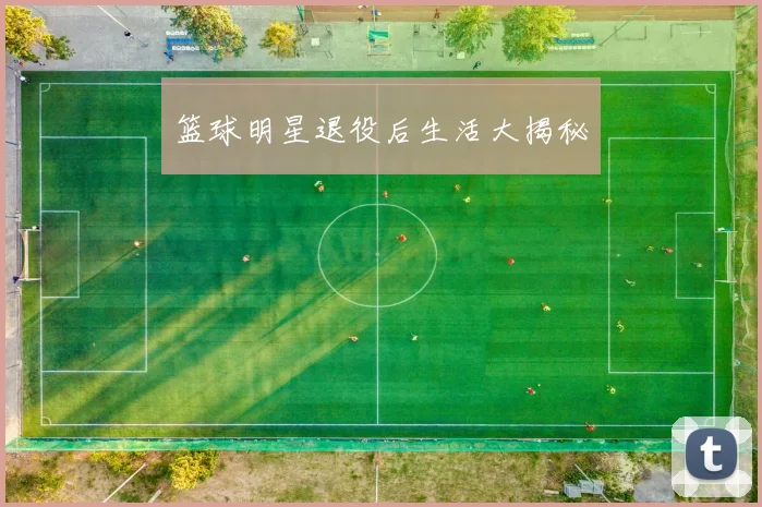 篮球明星退役后生活大揭秘